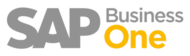 SAP Partner Logo
